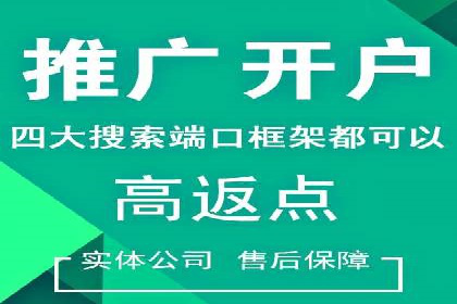 SEM关键词优化案例实战技巧